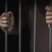 Імітація страт, електрошок та напади собак: Human Rights Watch звинуватила РФ у регулярних тортурах полонених