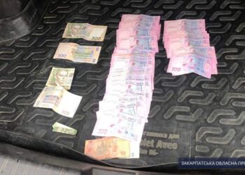 На Закарпатті оштрафували депутата, який брав відкати на посаді директора лісгоспу