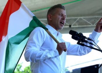 Партія “Тиса” обіцяє ввести в Угорщині євро і податок для найбагатших