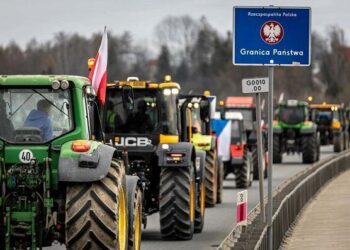 Польські фермери знову виходять на протести через Україну