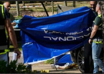 УП зʼясувала обставини затримання підозрюваного у вбивстві Портнова