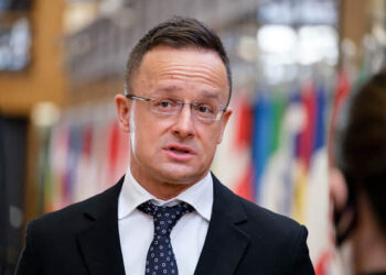 МЗС Угорщини викликало посла України через мобілізацію угорців