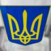 В Україні до 69% зросло число тих, хто підтримує проведення виборів лише після припинення війни – КМІС