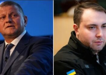 На потенційних виборах до Ради українці найбільше підтримують партії Залужного і Буданова