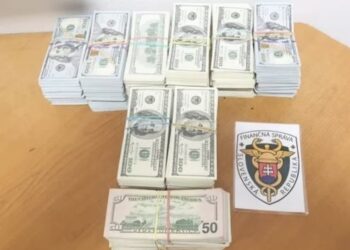Словацькі митники вилучили в українця 450 000 доларів