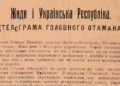 Для чого Петлюру звинувачували в єврейських погромах?
